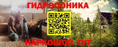 бошки Сланцы