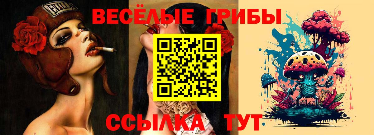 где можно купить   Вход с VPN  Псилоцибиновые грибы Psilocybe  Оренбург  Псилоцибиновые грибы ЛСД 
