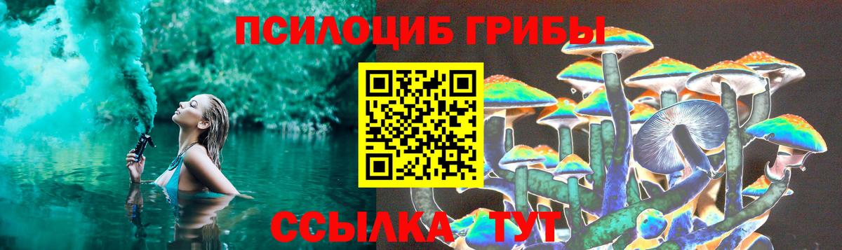 Псилоцибиновые грибы Cubensis Оренбург